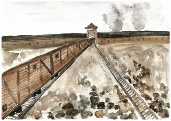 Красильникова Светлана 35 лет