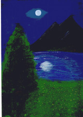 «Космос далекий и близкий» Шалыгина Дарья 14 лет